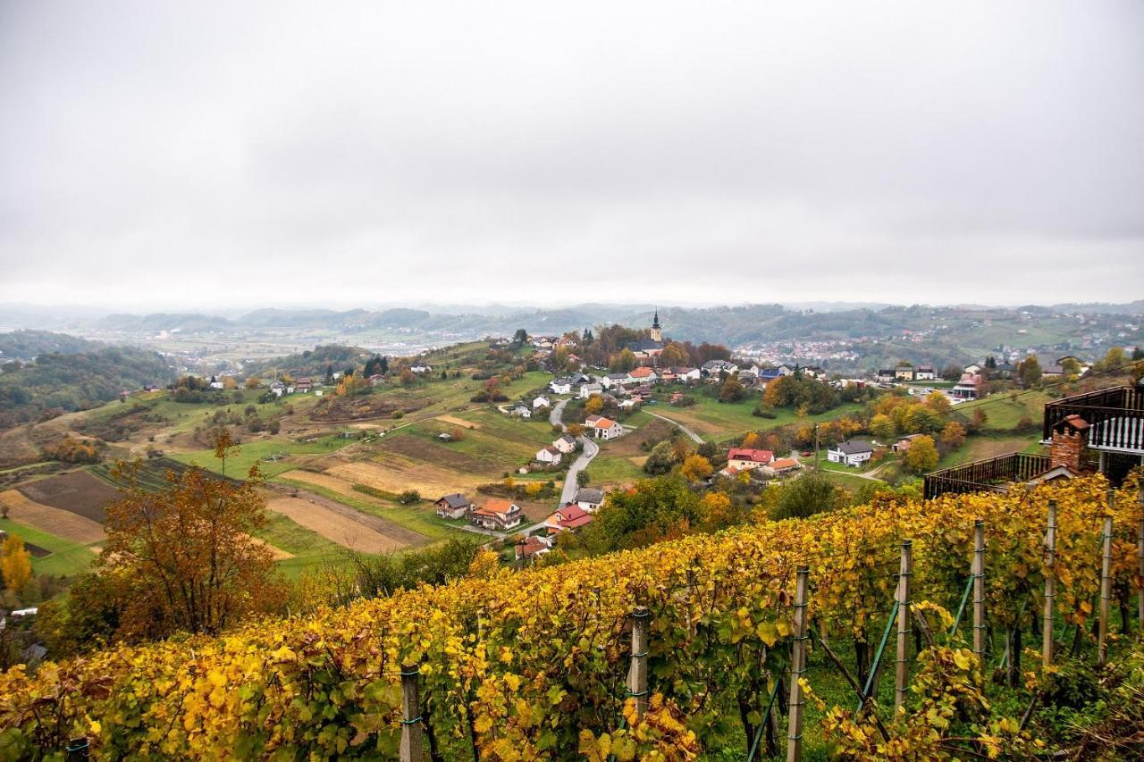 Kuca Za Odmor Hiza I Vila Krapina Extérieur photo